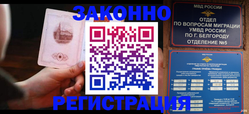 прописка 2025 в Курчатове